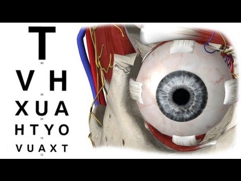 Visual Acuity in 5 min