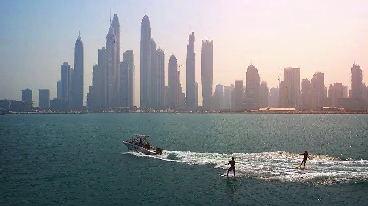 The 5th WCO Global AEO Conference 2020 | المؤتمر العالمي الخامس للمشغل الاقتصادي المعتمد