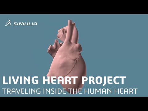 The Living Heart Project: Traveling Inside a Human Heart