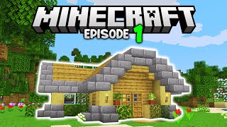 My Minecraft Journey Begins! | Let's Play Minecraft Survival Episode 1 by Pythonator 29,477 views 6 days ago 22 minutes