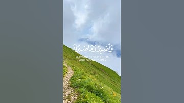 وَاصْبِرْ وَمَا صَبْرُكَ إِلَّا بِاللَّهِ 💛 | تلاوة تريح القلب | Noor Al-Tilawa