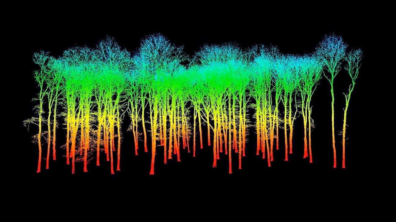 Next Generation of Forest Inventory Tools (LIDAR)