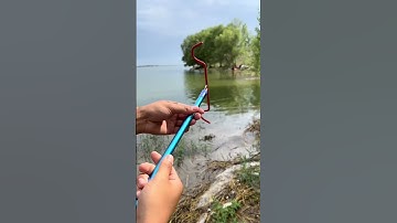 Cán Gác Cần Câu Cá Đa Năng, Gác Đến 12m Bo Cá 5-10kg Bao Phê #fishing #shorts