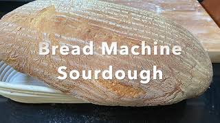 Bread Machine Sourdough