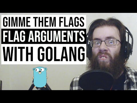 How to use flags to modify the behavior of your Golang programs