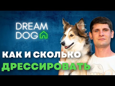 Видео: Сколько физических упражнений - это слишком много для моего щенка?