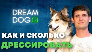 Как дрессировать 🐶 В каком возрасте начинать обучение собаки 🐕 Сколько команд учить со щенком 🐩