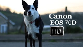 Canon 70D Video Footage Test