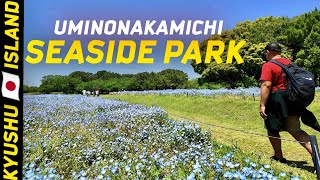 FUKUOKA’s PARADISE by the SEA |UMINONAKAMICHI SEASIDE PARK | KYUSHU 🇯🇵 ISLAND SERIES | EPISODE 02