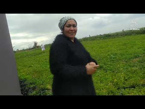 اول ظهور لماما او فاطيمة ختي في قنا ديلي طبيع جميل