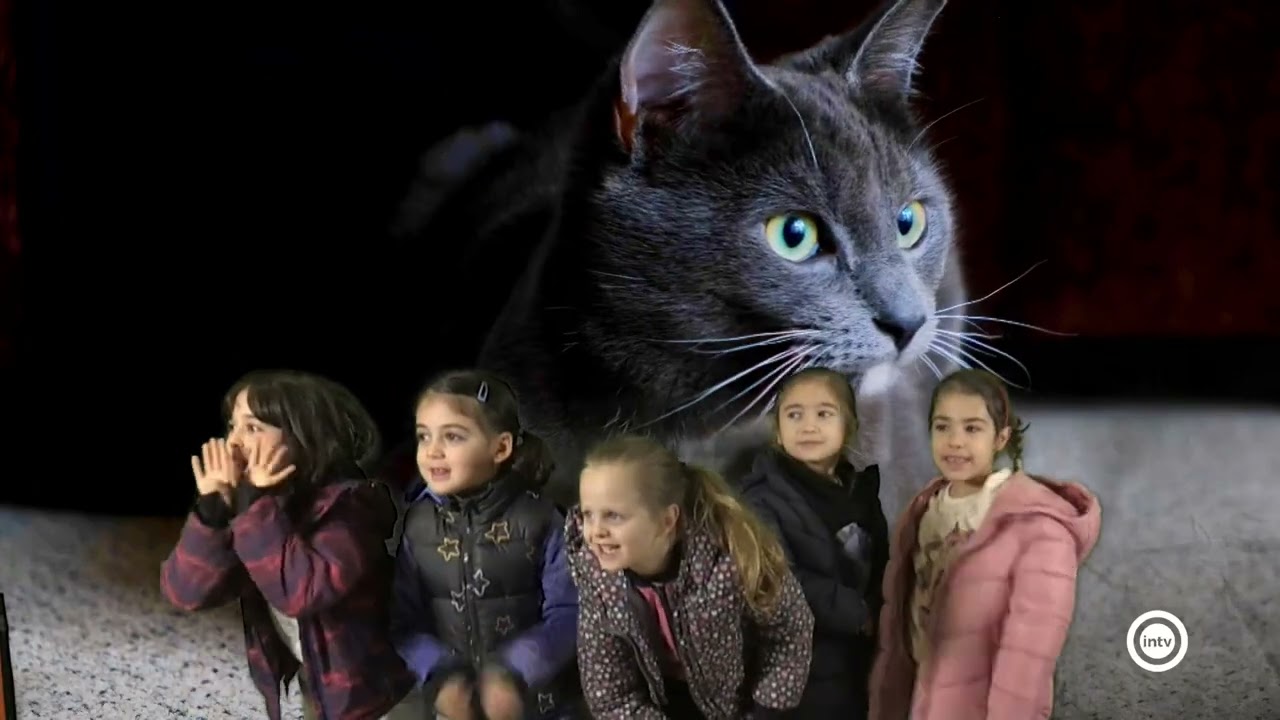 Niños y niñas del colegio Madre de la Luz han podido conocer de cerca cómo se hace televisión