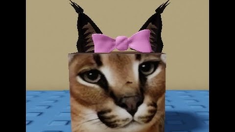 How to Find "Ms. Floppa" In Find the Floppa Morphs