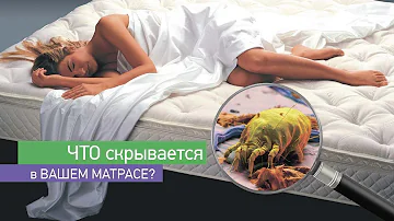 Какой ужас скрывается в вашем матрасе? Внимание, ПЫЛЕВЫЕ КЛЕЩИ!