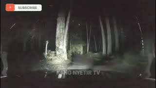 NIGHT DRIVE HUJAN DERAS DI HUTAN || NYETIR MOBIL MALAM HARI