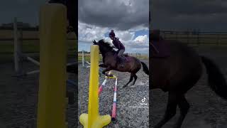 Elsie & toddys first jumping lesson after 6 weeks off due to having a broken arm
