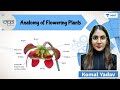 Anatomy Of Flowering Plants | Manthan | Unacademy NEET | Komal Yadav