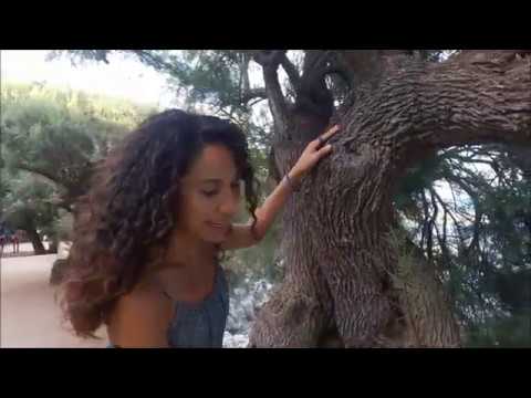 Video: Rakita - ¿Qué tipo de árbol? ¿Qué es una rakita?