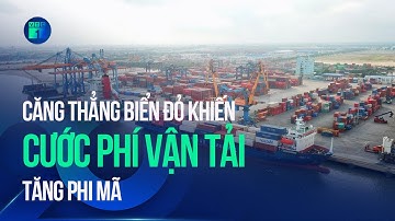 Giá cước phí vận tải biển tăng mạnh do căng thẳng ở Biển Đỏ | VTC1