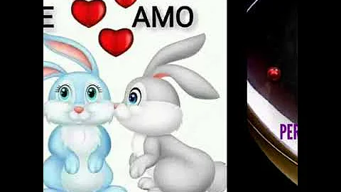 AMOR PERDONAME, LOS RODARTE