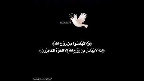 القارئ:محمد إبراهيم