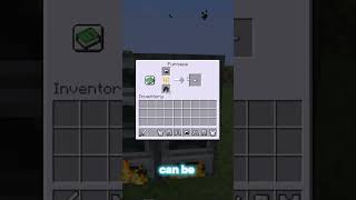 Celebrity You Can Smelt THIS in Minecraft?! 🤯💀 Net Worth