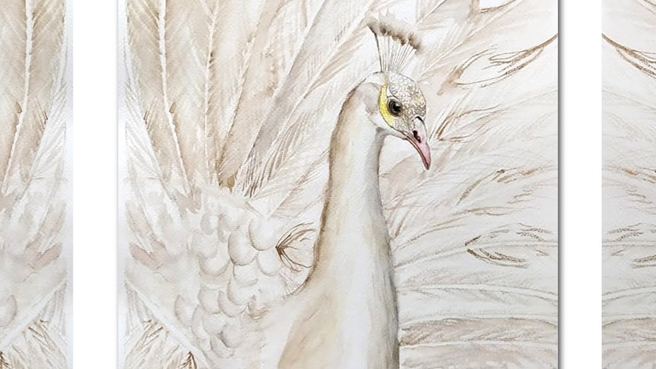 Easy White Peacock Painting in Watercolors | Art Therapy 'Video ...