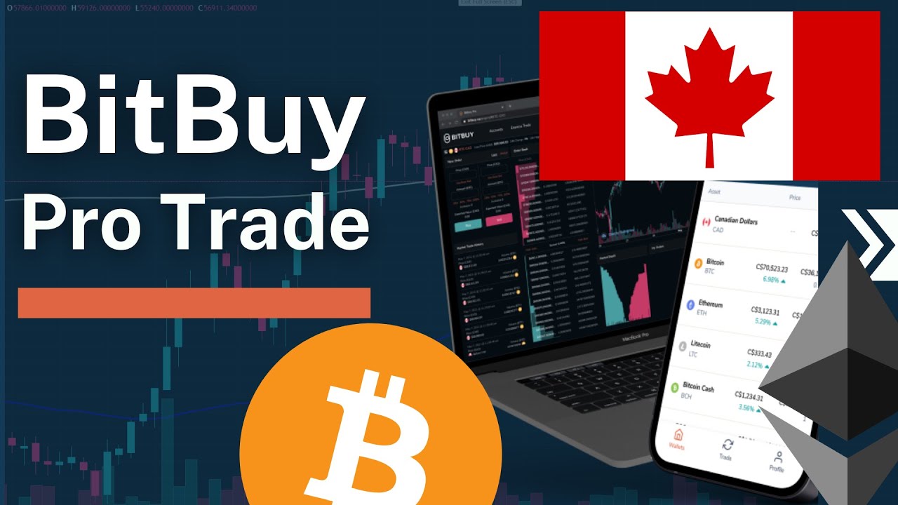 Bitbuy Pro Trade Spotlight - The Crypto Destination of Investors