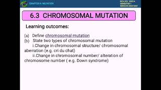CHAPTER 6 (6.3 Part 1) MUTATION