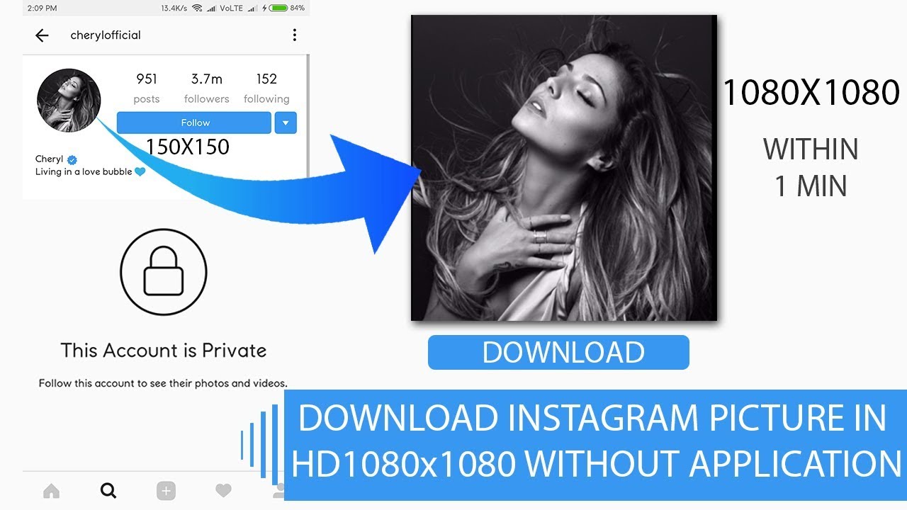 profile instagram download