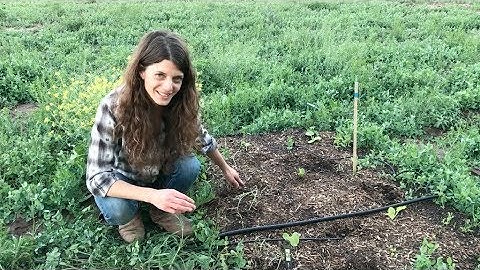 Field Notes: Soil Temperature