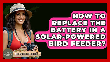How To Replace The Battery In A Solar-Powered Bird Feeder? - Bird Watching Diaries