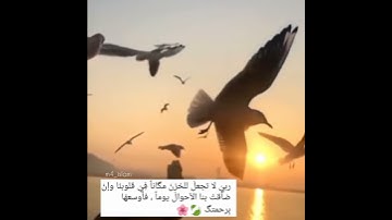 الشيخ ماهر المعيقلي تلاوة ومنظر رائع ما شاءالله  ‏| مقطع جديد المعيقلي