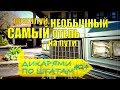 ОТЕЛЬ С ИСТОРИЕЙ | ДИКАРЯМИ по ШТАТАМ #24 [4K]