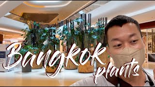 Bangkok Is HEAVEN For Plant Lovers | Public Landscaping, Cute Pottery Shops And More!