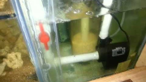 DIY Recirculating Biopellets