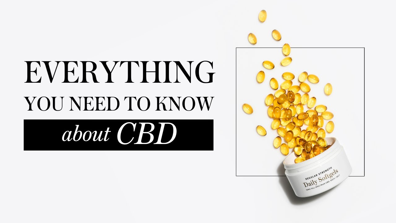 CBD 101: Learn the basics of CBD oil - YouTube