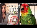 HOW TO CUSTOMIZE YOUR PARROT CAGE SETUP FOR A TIMID BIRD | CAGE TOUR