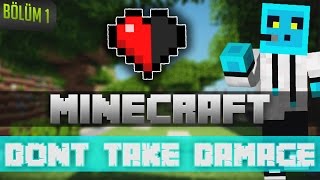 Minecraft - Dont Take Damage