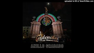 Cardenales De Nuevo León - Anillo Grabado.