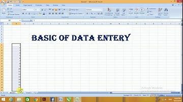 Data Entry Basic in Pashto