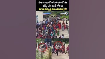 తెలంగాణలో యూరియా కోసం రిస్క్ చేసి మరీ గోడలు దూకుతున్న రైతుల విజువల్స్😱| Farmer Latest Viral Video