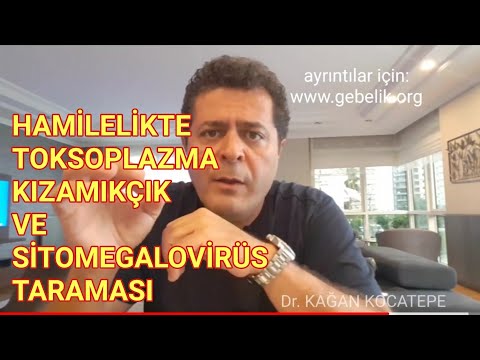 Hamilelikte toksoplazma, kızamıkçık ve CMV (sitomegalovirüs) enfeksiyon taraması nasıl yapılır?