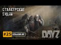 ☢️DayZ STALKER RP STREAM #25. Стрим сталкер РП. Охота на химер.