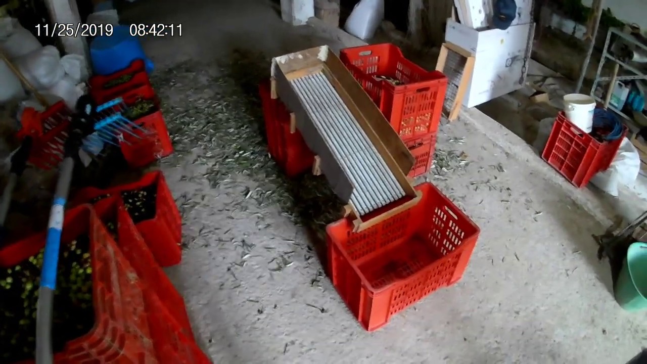 Defogliatore per olive, (fai da te)