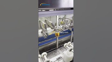 Industrial Mango Peeling Machine for small Mango Peeling high capaicty saving laber