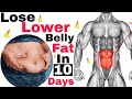 Exercises to Lose Lower Belly Fat in 10 days | Kashim Lee