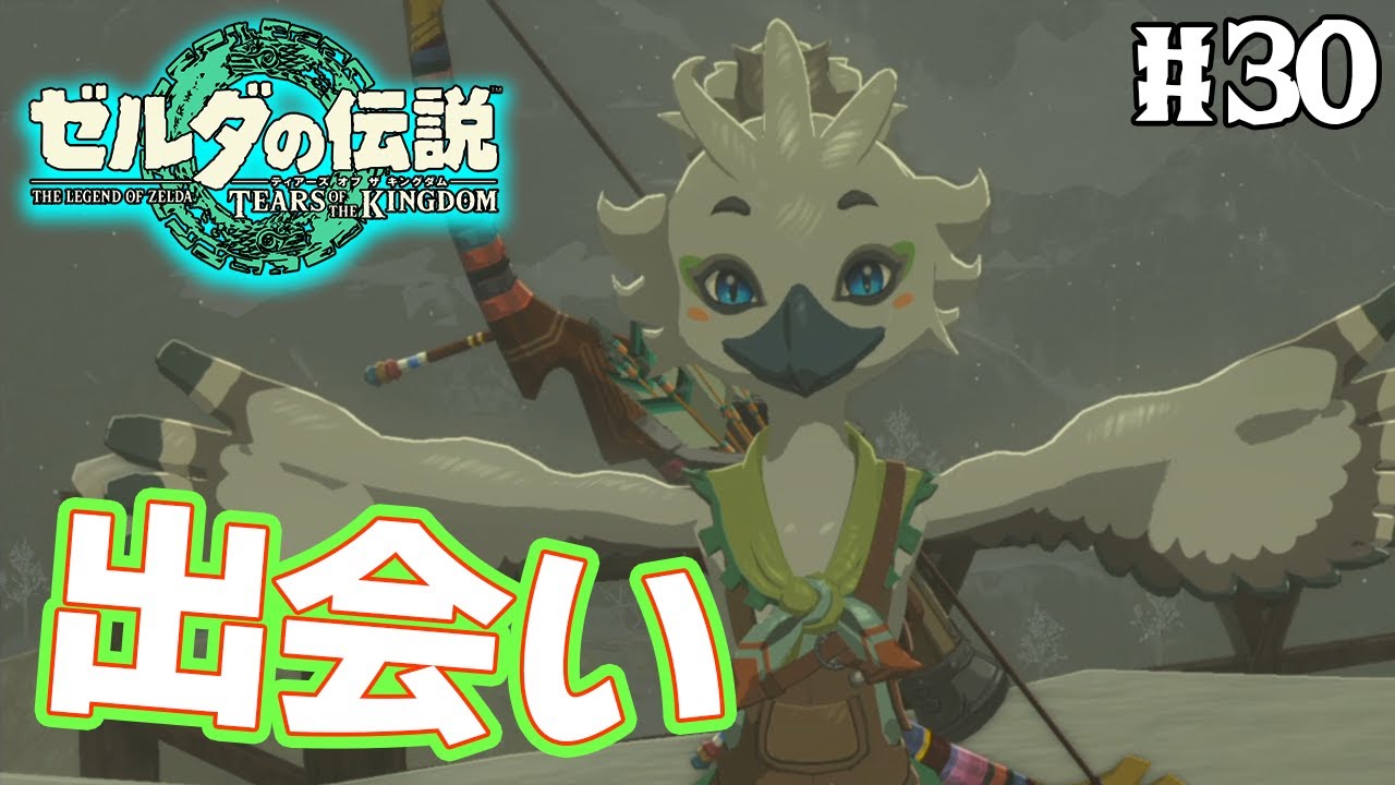 【ティアキン】ゼルダの伝説最新作を隅から隅まで楽しみまくる！#30【ティアーズオブザキングダム】【ぽんすけ】