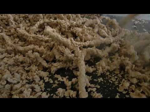 Extruder E1000 wheat