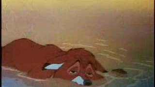 Video thumbnail of "The fox & the hound - Goodbye may seem forever"