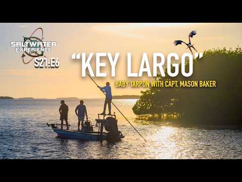 Winter Surprise: Finding Aggressive Baby Tarpon in the Everglades - Saltwater Experience [S21:E6]
